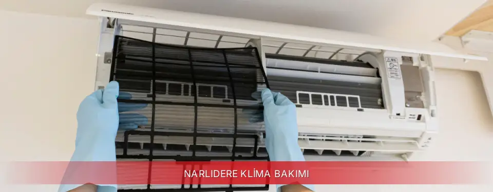 Narlıdere İlçemi Finlux Klima Bakımı