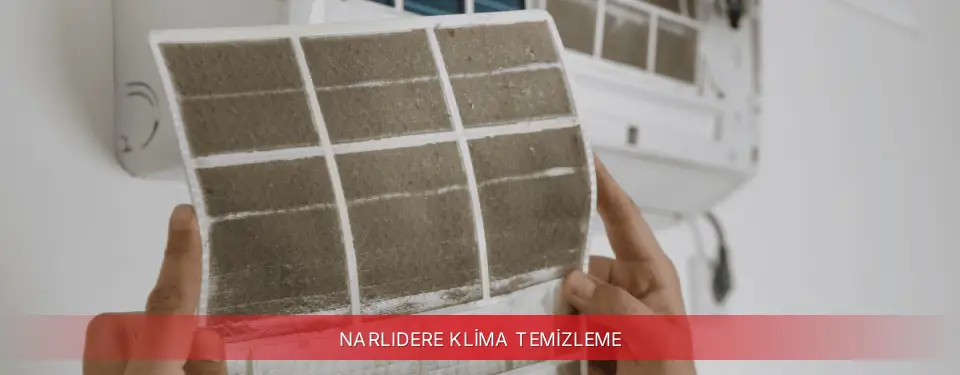 Narlıdere İlçemi Finlux Klima Temizleme